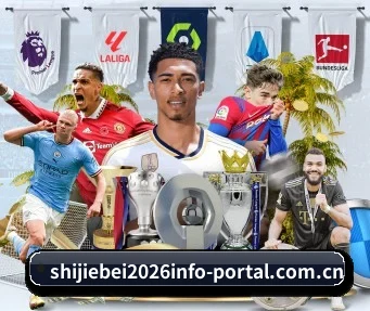 2026年世界杯现场高清信号看球软件 APP