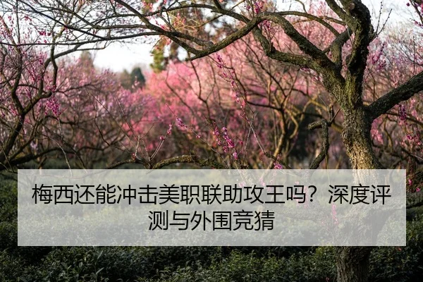 梅西还能冲击美职联助攻王吗？深度评测与外围竞猜